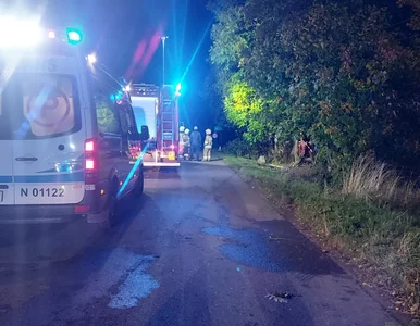 Miniatura: Wstrząsające ustalenia po wypadku koło...