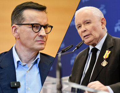 Miniatura: Niemcy ostro o awanturze w PiS. „Im...