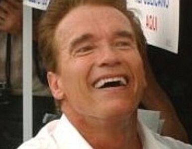 Miniatura: Schwarzenegger wydaje krocie na ochronę