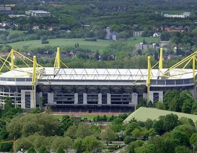 Miniatura: Borussia rozpocznie jubileuszowy sezon na...