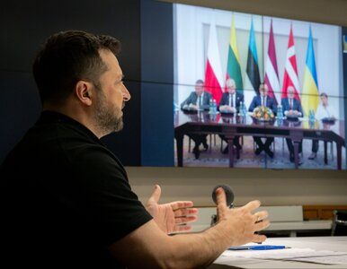 Miniatura: Ważne spotkanie w Warszawie. Zełenski...