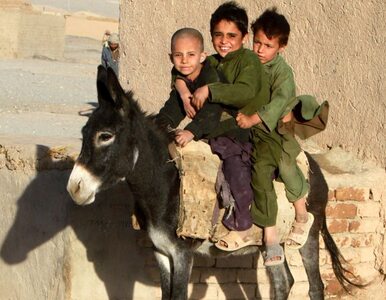 Miniatura: Pierwszy wózek dziecięcy w Ghazni będzie...