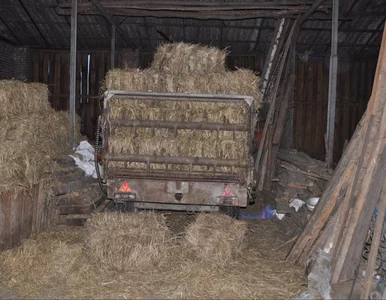 Miniatura: Nietypowy wypadek na Lubelszczyźnie....