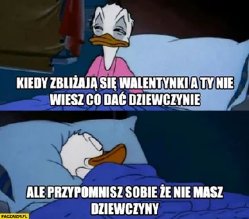 Walentynkowy mem 