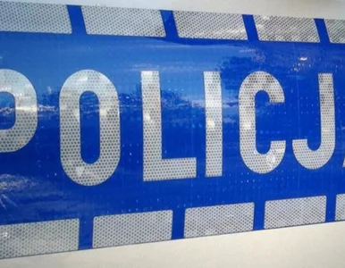 Miniatura: Ukrainki uciekły do Gdańska przed wojną. W...