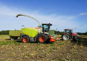 Miniatura: QUIZ o życiu na wsi. Mieszczuchy nie...