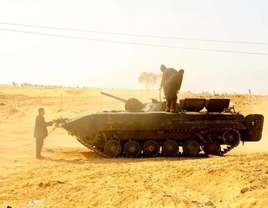 Miniatura: Libijscy rebelianci uwalniają jeńców, bo...
