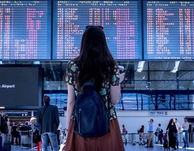 Miniatura: Kobieta nie zgłosiła przewożonych...