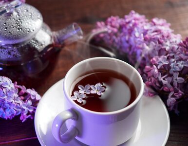Miniatura: Herbatka z kwiatów bzu na detoks wątroby....