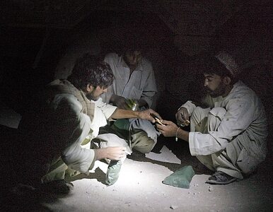 Miniatura: MSZ zgubiło pięciu Afgańczyków