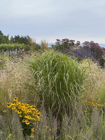 Ogród projektu Mariann Gundersen Scandinavian Design Awards, ogród, Mariann Gundersen