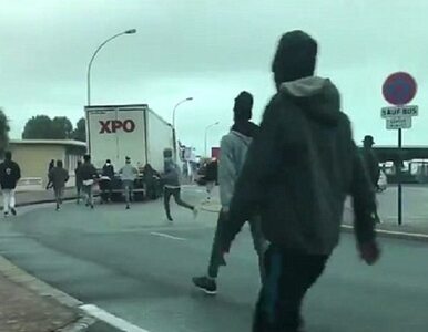 Migranci wskakują na ciężarówki, próbują się dostać do środka. Do sieci...