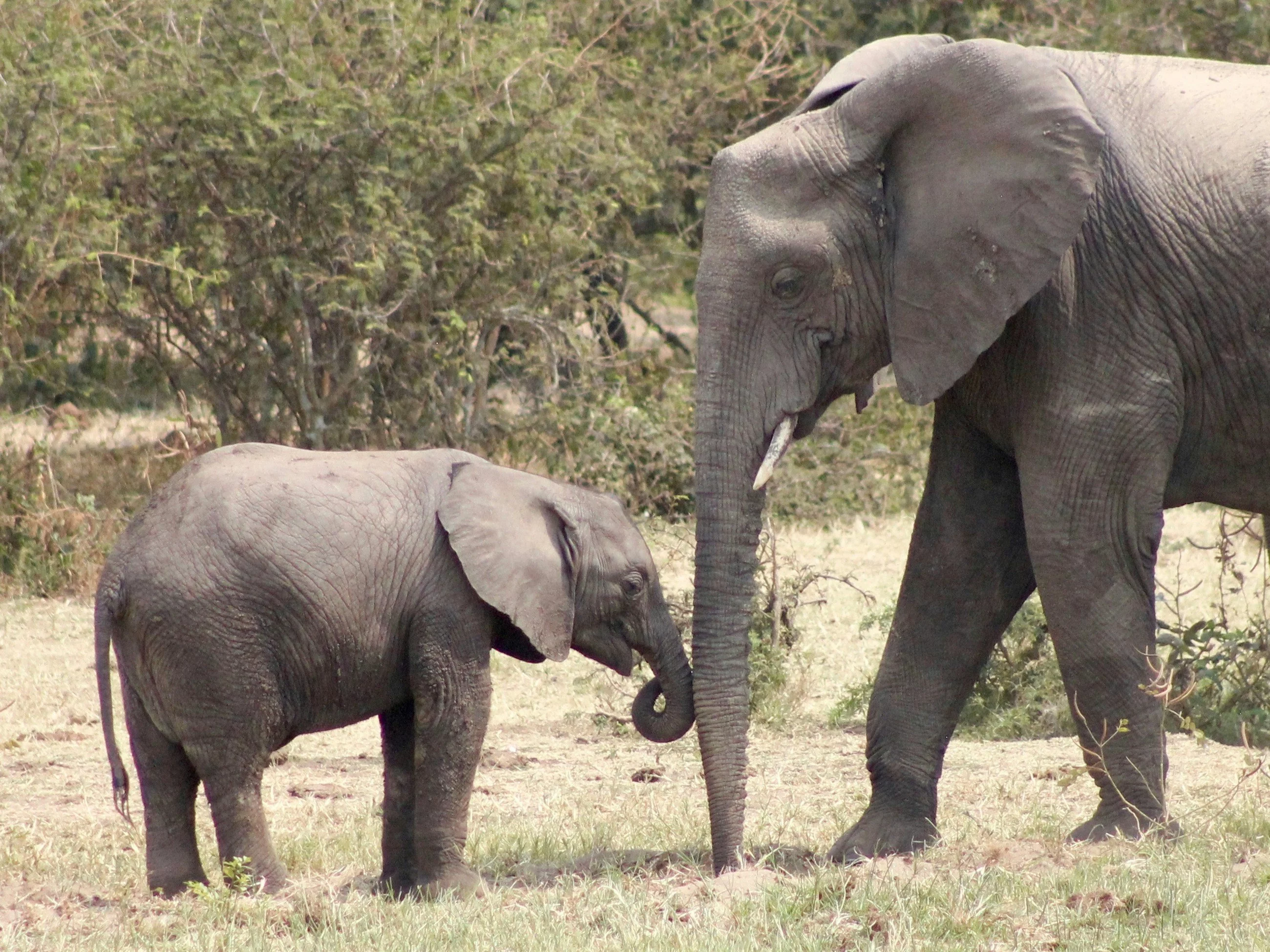 Wyzwanie prawda czy fałsz. Ile punktów zdobędziesz?