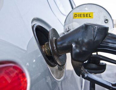 Miniatura: Zużycie paliw wzrośnie w tym roku o 2-3 proc.