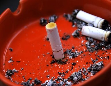 Miniatura: Światowy Dzień bez Tytoniu