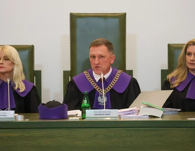 Miniatura: Sąd Najwyższy zdecydował ws. wyborów...