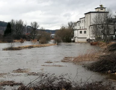 Miniatura: Prokuratura bada, czy specjalnie przerwano...