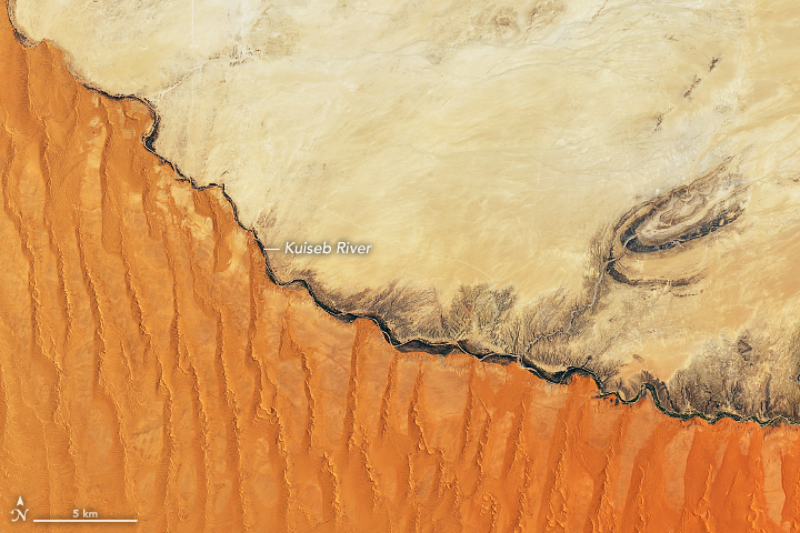 Tam, gdzie kończą się wydmy Góry piasku, niektóre o wysokości nawet 300 metrów na pustyni Namib w Afryce sięgają w kierunku nieba. Wydmy, napędzane wiatrem, maszerują przez pustynię.