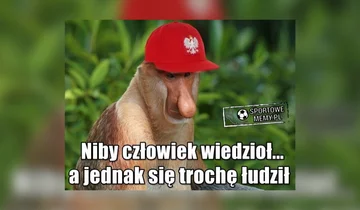 Memy po meczu Polska - Włochy 