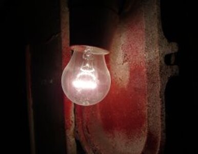 Miniatura: Będziemy importować prąd z Kaliningradu?