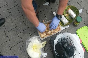 Narkotyki ukryte w&nbsp;gołąbkach