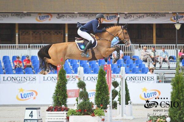 Miniatura: Zawody jeździeckie CSIO Sopot 2018
