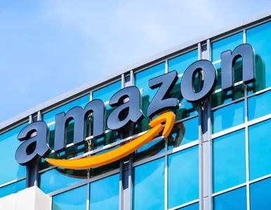 Miniatura: Amazon dokłada 1 mln euro na walkę z...