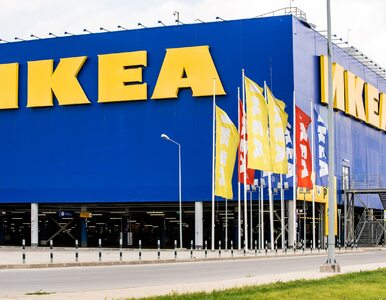 Miniatura: Ikea tylko pośrednikiem? Szwedzi otworzą...