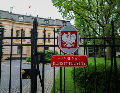 Miniatura: Wtedy może nastąpić przełom w Trybunale...