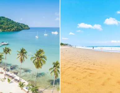 Miniatura: Tutaj znajdziesz najlepsze plaże na zimę....