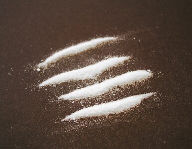 Miniatura: Nieudana próba przemytu kokainy... w dyniach