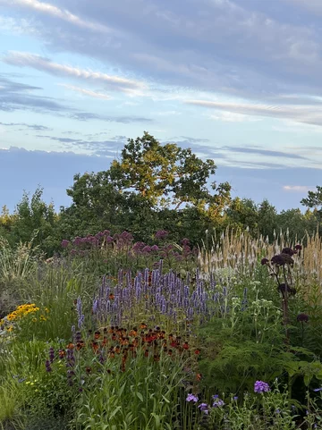 Ogród projektu Mariann Gundersen Scandinavian Design Awards, ogród, Mariann Gundersen