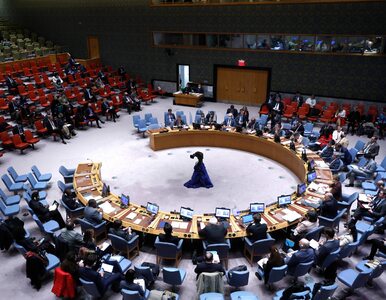 Miniatura: Pierwsze oświadczenie Rady Bezpieczeństwa...