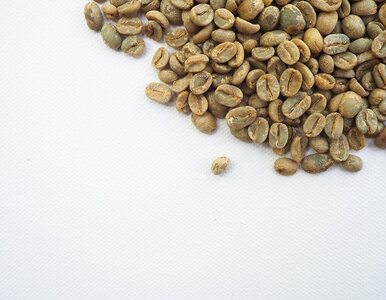 Czy zielona kawa jest korzystna dla zdrowia i pomaga schudnąć?