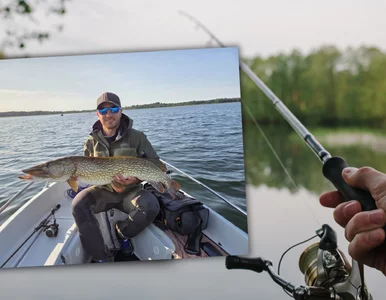 Miniatura: Polak złowił rekordowego szczupaka....