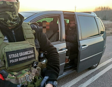 Miniatura: Incydenty przy granicy z Białorusią. SG o...