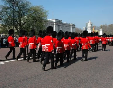 Miniatura: 10 najgorszych zawodów świata
