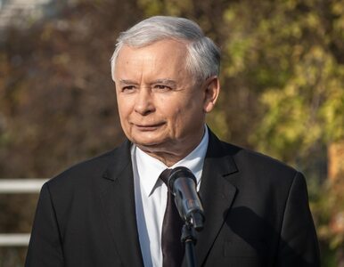 Miniatura: "Kaczyński to zakapior i twardziel. I do...