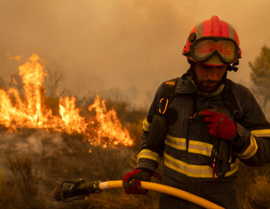 Miniatura: Hiszpania walczy z falą pożarów. Skala...