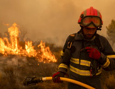 Miniatura: Hiszpania walczy z falą pożarów. Skala...