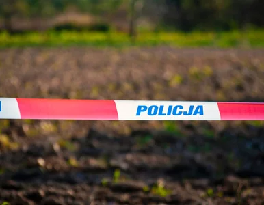 Miniatura: Ciała znalezione w mieszkaniu w...