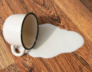 Miniatura: Poniedziałkowy QUIZ z przysłów o jedzeniu....