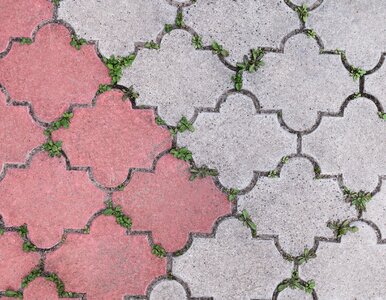 Miniatura: Beton na działce? To może oznaczać...
