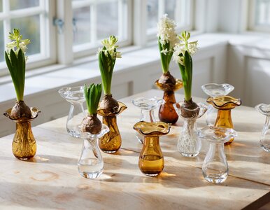 Miniatura: Ich zapach czuć w całym mieszkaniu....