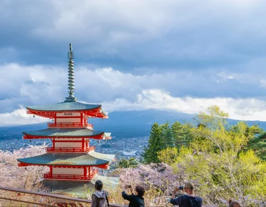 Miniatura: Turyści zniszczyli słynny festiwal....