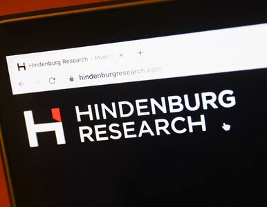 Miniatura: Hindenburg Research. Co wiemy o firmie,...