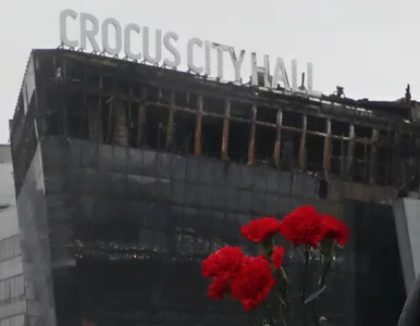 Miniatura: Atak na Crocus City Hall. Napastnicy mieli...