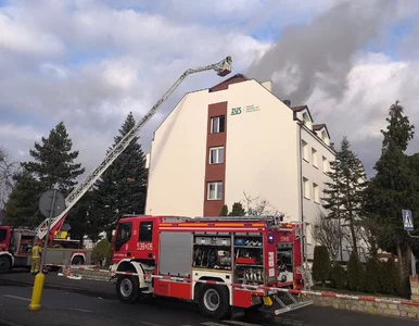 Miniatura: Płonie ZUS w Sztumie. Spod dachówek...