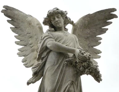 Miniatura: Niepotrzebna pomoc