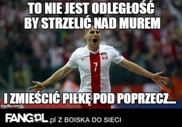 fot. fangol.pl